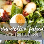 Dandelion Salad with Eggs and Bacon