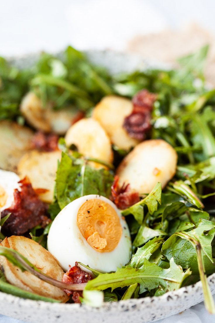 Dandelion Salad with Eggs and Bacon Vibrant plate