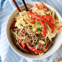 Vegetarian Soba Noodles