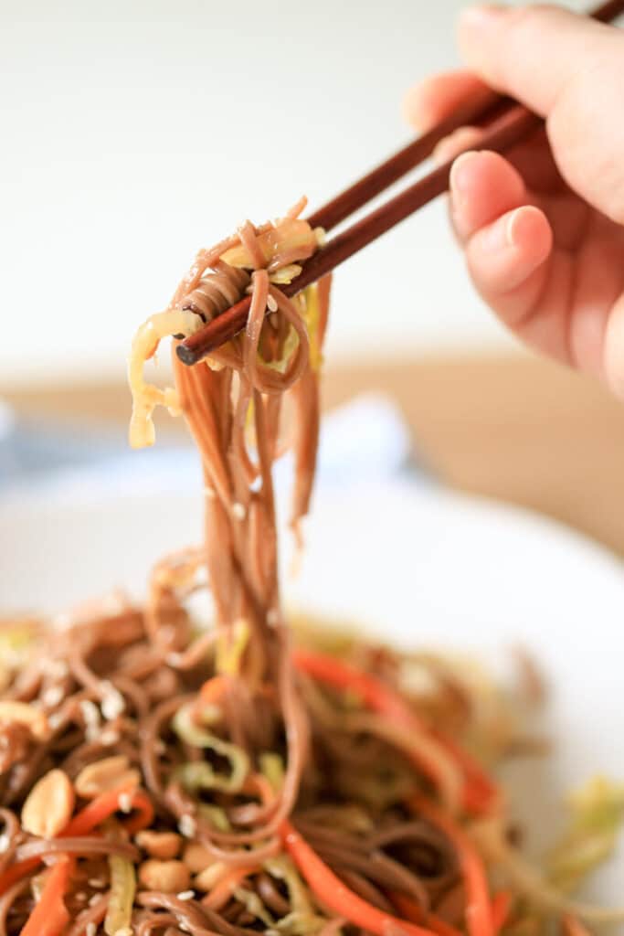 Vegetarian Soba Noodles