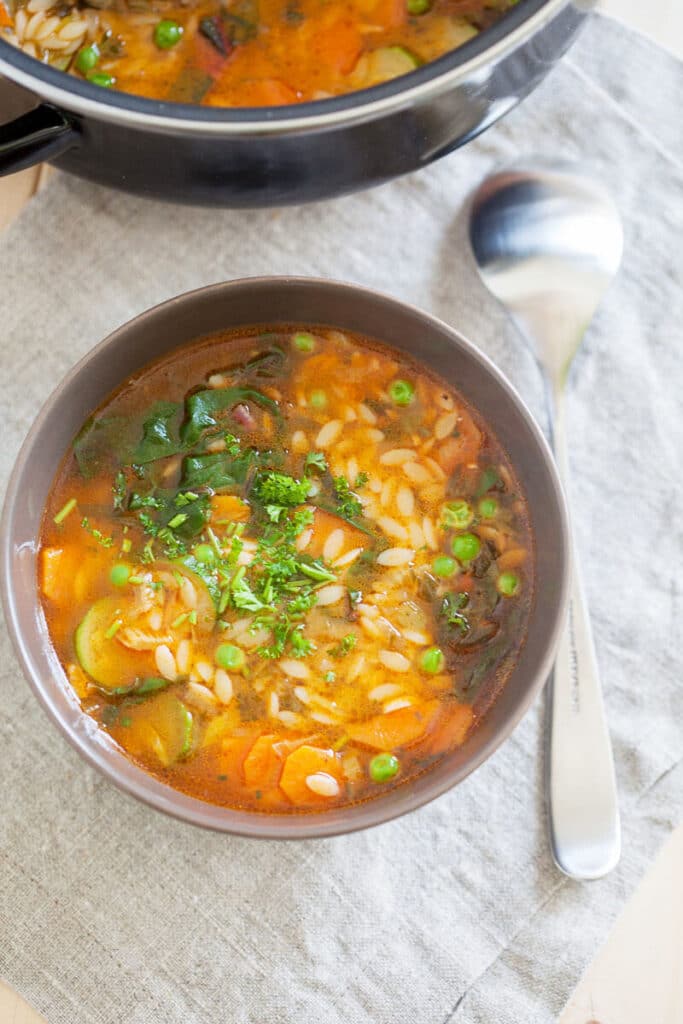 Summer Orzo Soup