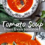 Tomato Soup Recipe