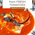 Tomato Soup Recipe