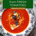 Tomato Soup Recipe