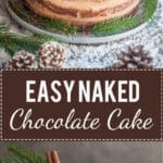 Moist and delicious, this Easy Naked Chocolate Cake is just the thing to celebrate in style. A simple cake to make with little effort!