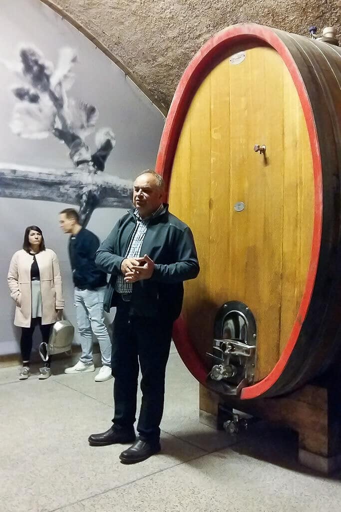 Wine Tasting in Goriška Brda, Slovenia | www.vibrantplate.com