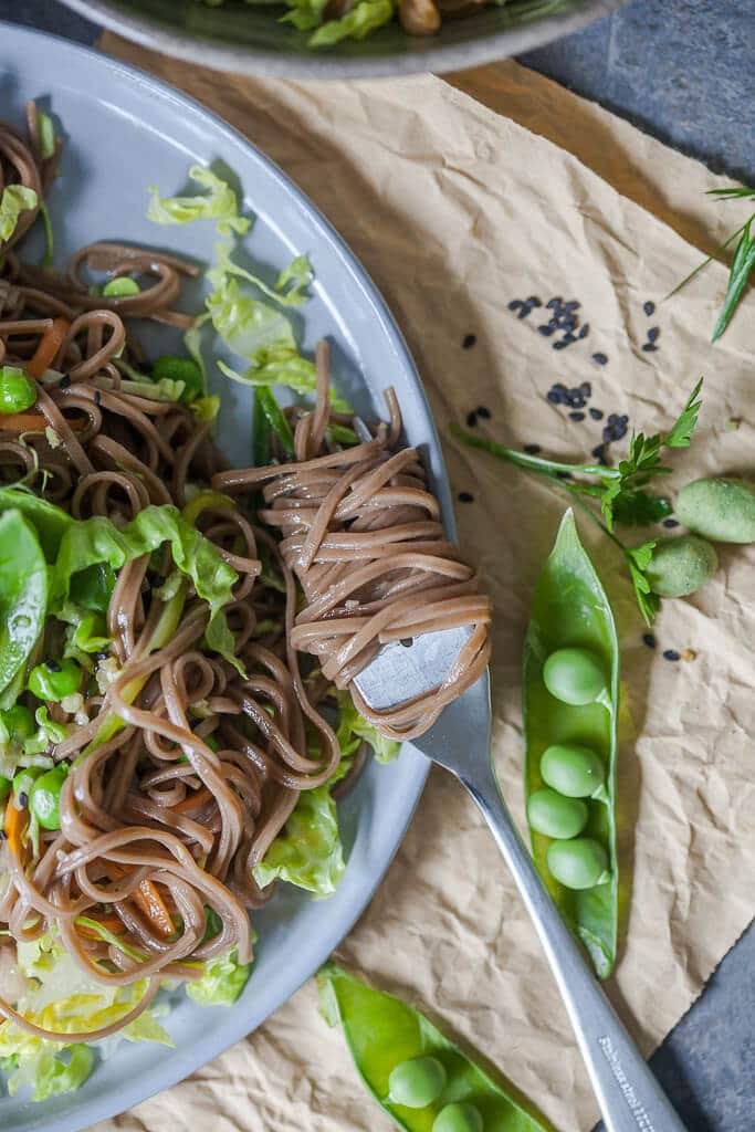 Spring Green Soba Noodle Salad is a refreshing salad for hot days with minimal cooking. | www.vibrantplate.com