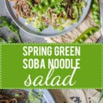 Spring Green Soba Noodle Salad is a refreshing salad for hot days with minimal cooking. | www.vibrantplate.com