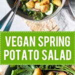 A simple vegan Spring Potato Salad with a delicious Balsamic Vinaigrette, the perfect use of new potatoes! | www.vibrantplate.com