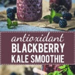 A quick and healthy drink, this Blackberry Kale Smoothie is packed full of vitamins and antioxidants, low-carb and vegan! | www.vibrantplate.com