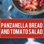 A delicious Bread and Tomato Salad, Panzanella is a great dish to use up stale bread and ripe tomatoes. | www.vibrantplate.com