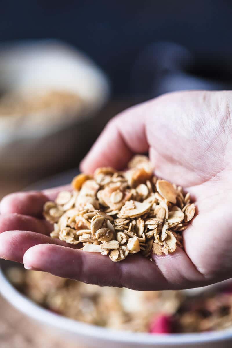 This Gingerbread Hazelnut Granola is simply amazing! Packed full of festive flavors, vegan & gluten-free, plus it's really easy to make. | Vibrant Plate