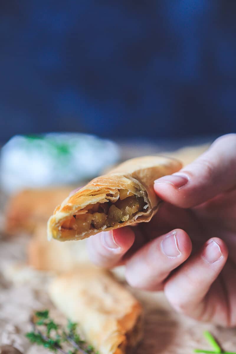 Vegan Crispy Potato Leek Rolls