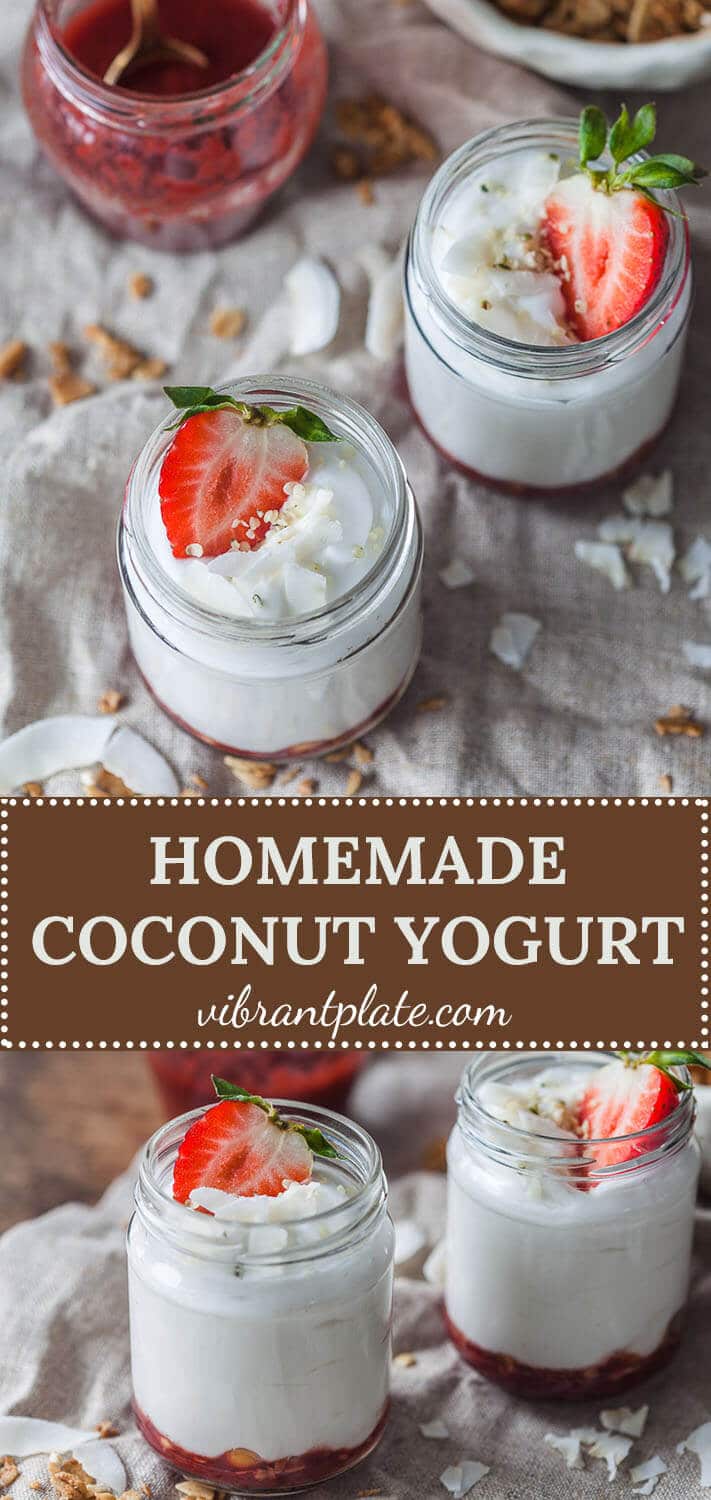 Homemade Coconut Yogurt Vegan, Dairy-Free - Vibrant plate