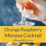 An excellent brunch drink, this Orange Raspberry Mimosa Cocktail is the perfect fit to celebrate the arrival of spring! | Vibrant Plate