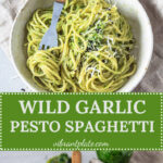 A real spring treat! This Wild Garlic Pesto Spaghetti is a quick vegan comfort meal, ready in just 15 minutes! | Vibrant Plate