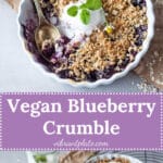 Vegan Blueberry Crumble, made with blueberries and a crunchy crumble topping, just the perfect plant-based summer treat. | Vibrant Plate