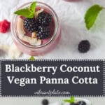 This Blackberry Coconut Vegan Panna Cotta is a refreshing summer dessert made with blackberries and coconut milk. | Vibrant Plate