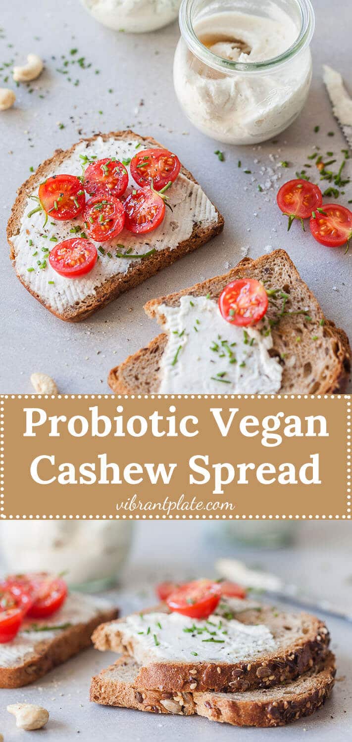 This Probiotic Vegan Cashew Spread makes making your own vegan cheese spread easy with cashews and probiotic capsules.