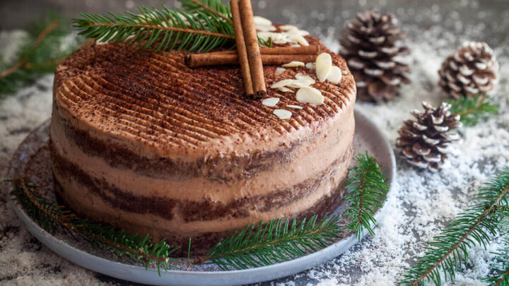 Easy Naked Chocolate Cake - Vibrant plate