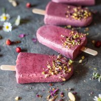 Wild Strawberries Coconut Milk Popsicles {Vegan}