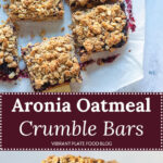 Aronia Oatmeal Crumble Bars