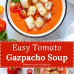 Easy Tomato Gazpacho Soup