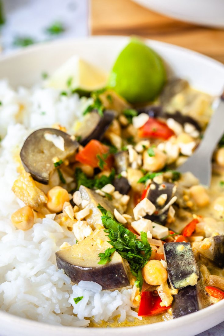 Vegan Coconut Eggplant Curry - Vibrant plate