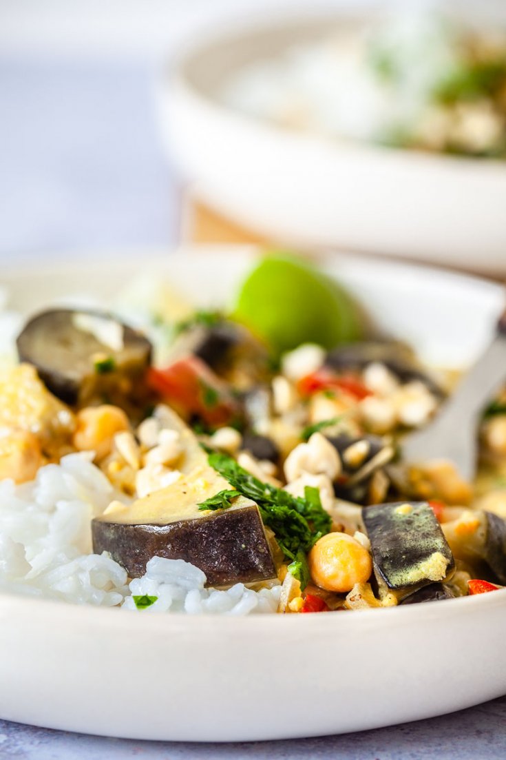 Vegan Coconut Eggplant Curry - Vibrant plate