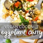 Vegan Coconut Eggplant Curry