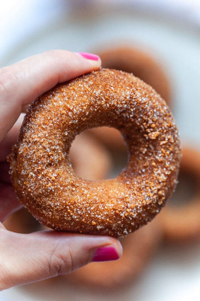 Vegan Baked Apple Cider Donuts