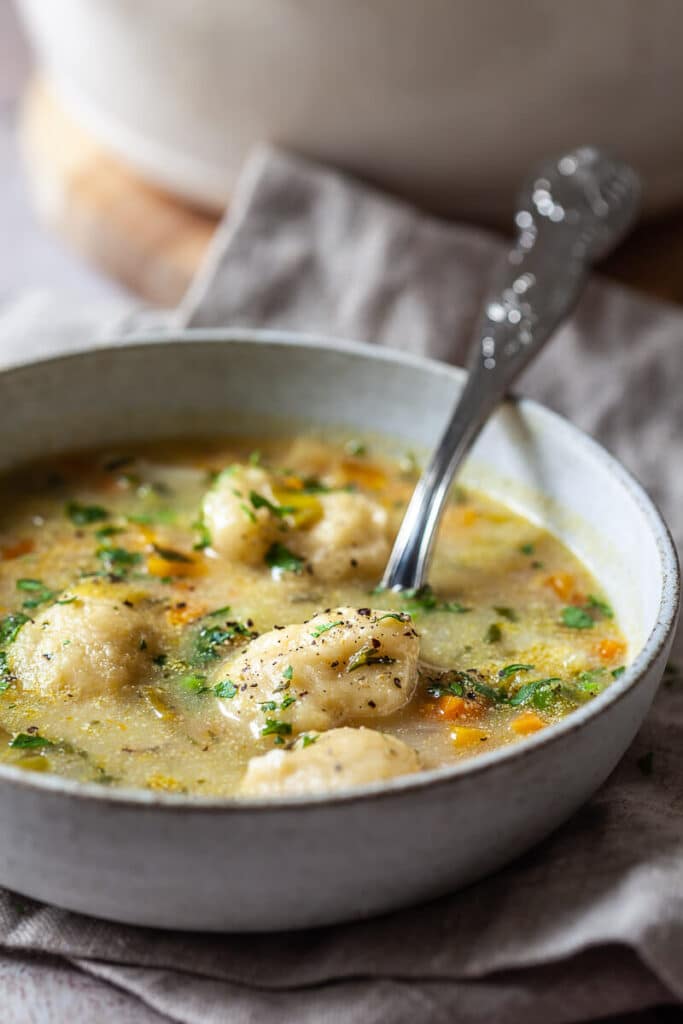 Vegetable Soup with Dumplings