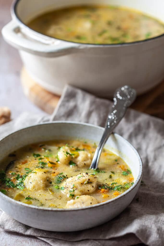 Vegetable Soup with Dumplings