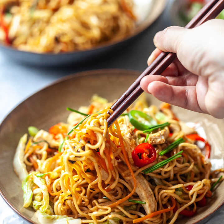 Vegan Tofu Lo Mein