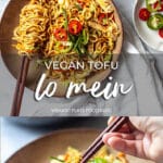 Vegan Tofu Lo Mein