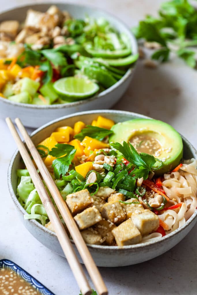 Vegan Spring Roll Noodle Bowl