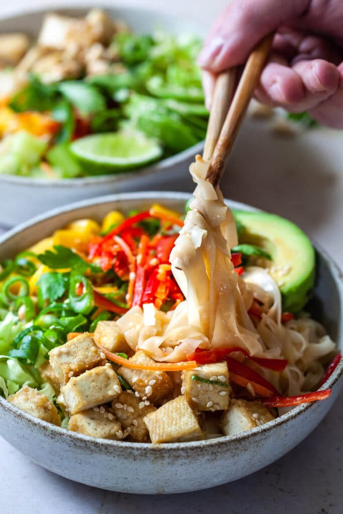 Vegan Spring Roll Noodle Bowl Close-up