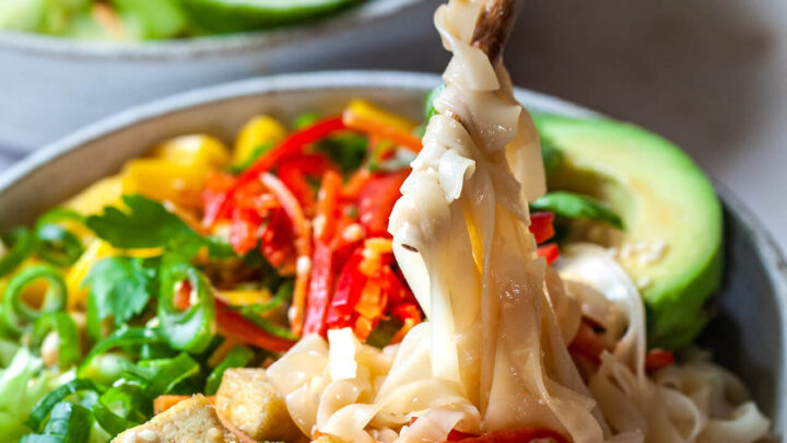 Vegan Spring Roll Noodle Bowl Close-up