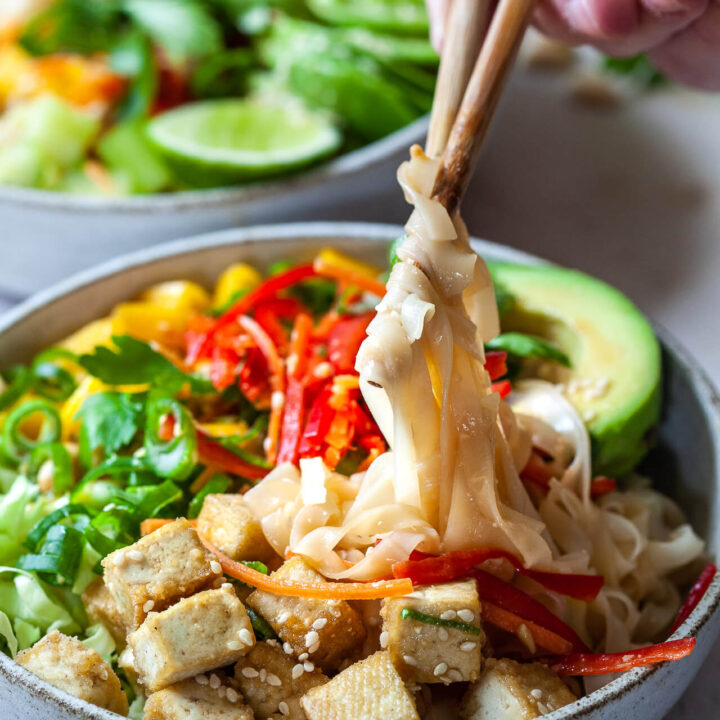 Vegan Spring Roll Noodle Bowl Close-up