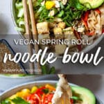 Vegan Spring Roll Noodle Bowl