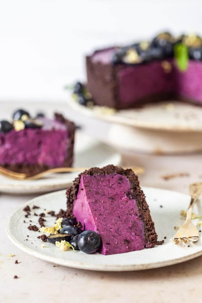 No-Bake Vegan Blueberry Pie - Vibrant plate