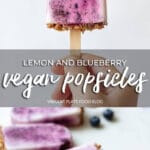 Vegan Lemon and Blueberry Popsicles