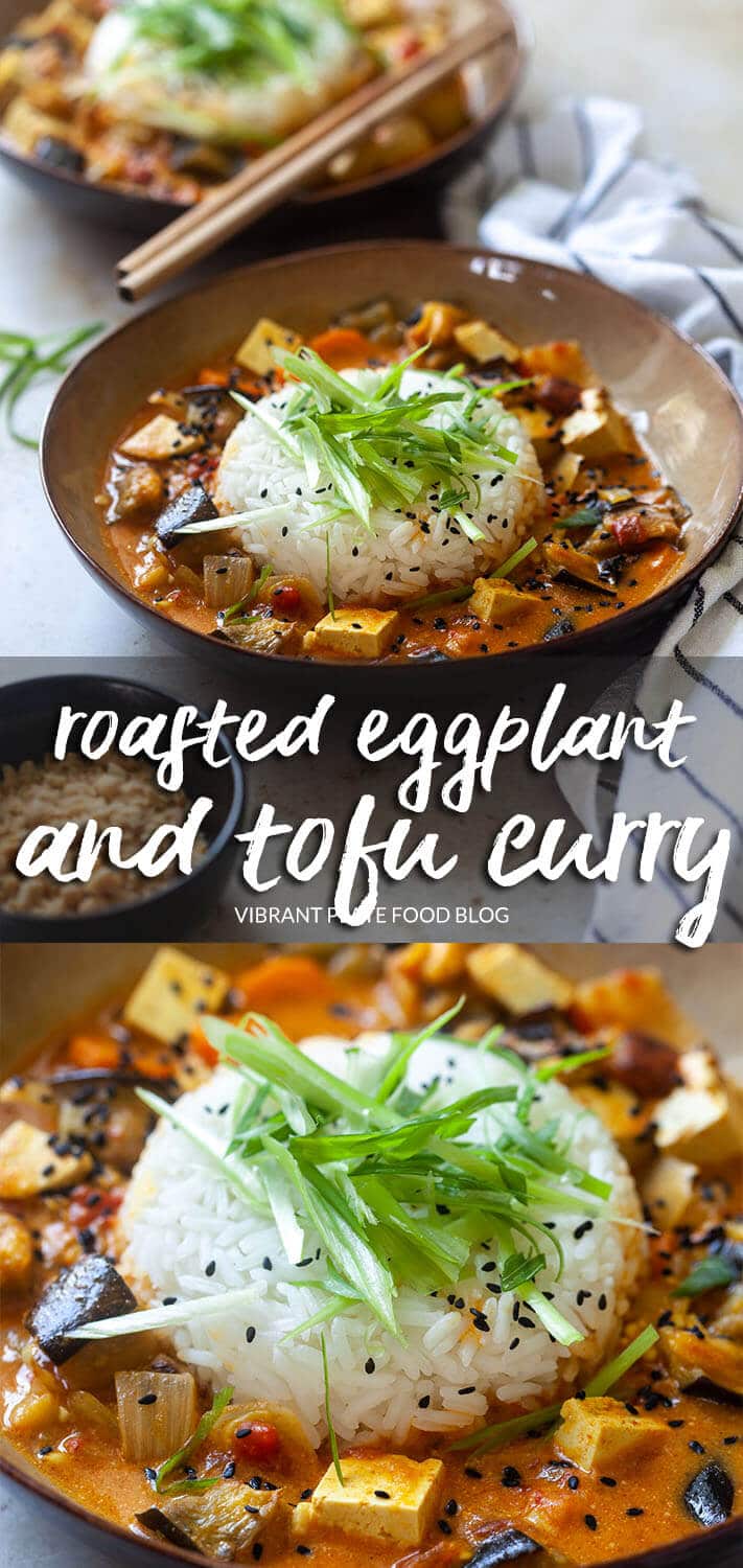 Roasted Eggplant and Tofu Curry - Vibrant plate