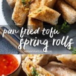 Crispy Pan-Fried Tofu Spring Rolls