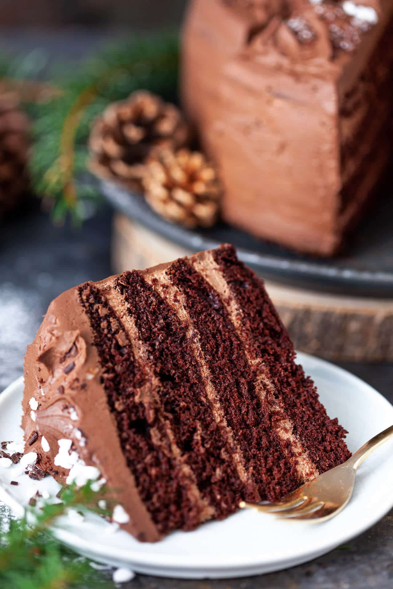 The Best Vegan Chocolate Cake - Vibrant plate