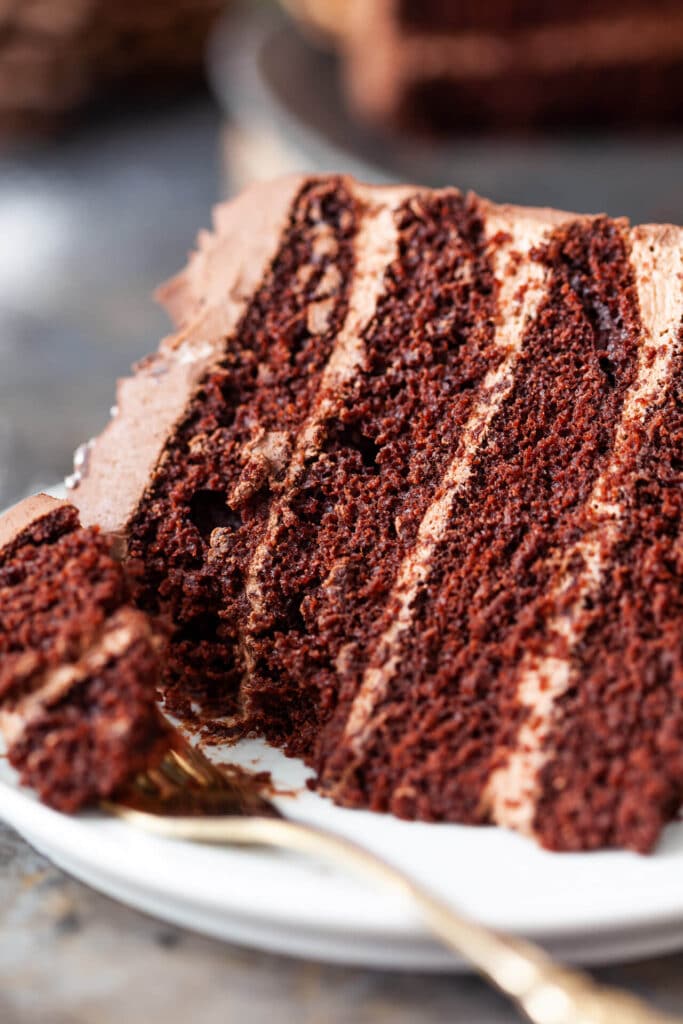 The Best Vegan Chocolate Cake