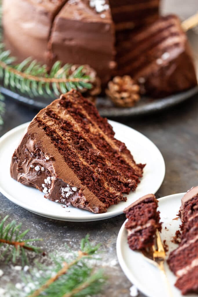 The Best Vegan Chocolate Cake