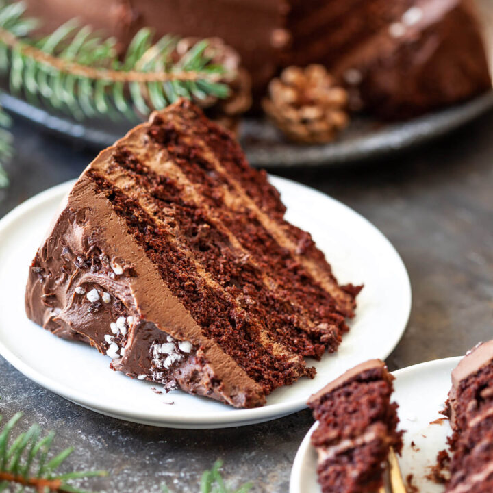 The Best Vegan Chocolate Cake