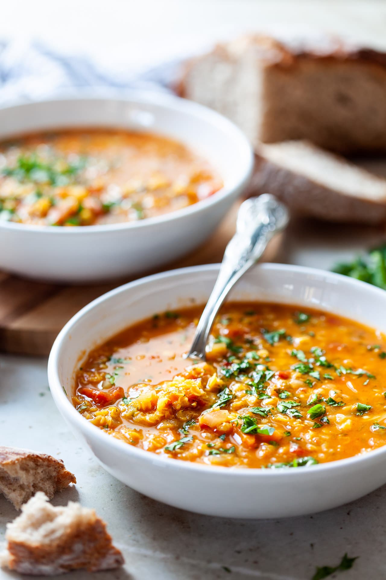 Vegan Red Lentil Stew - Vibrant plate