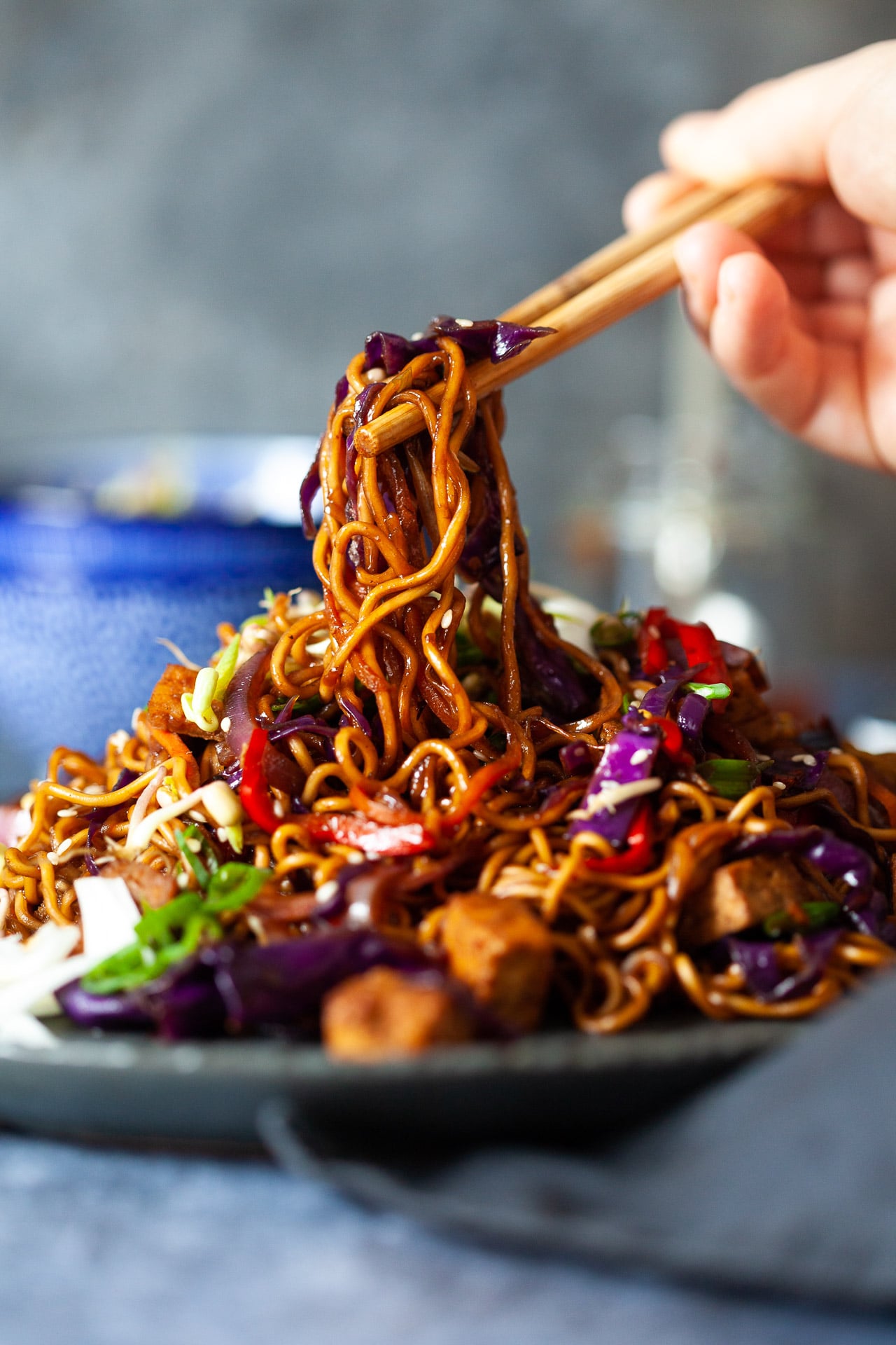 30-minutes Vegetable Tofu Lo Mein